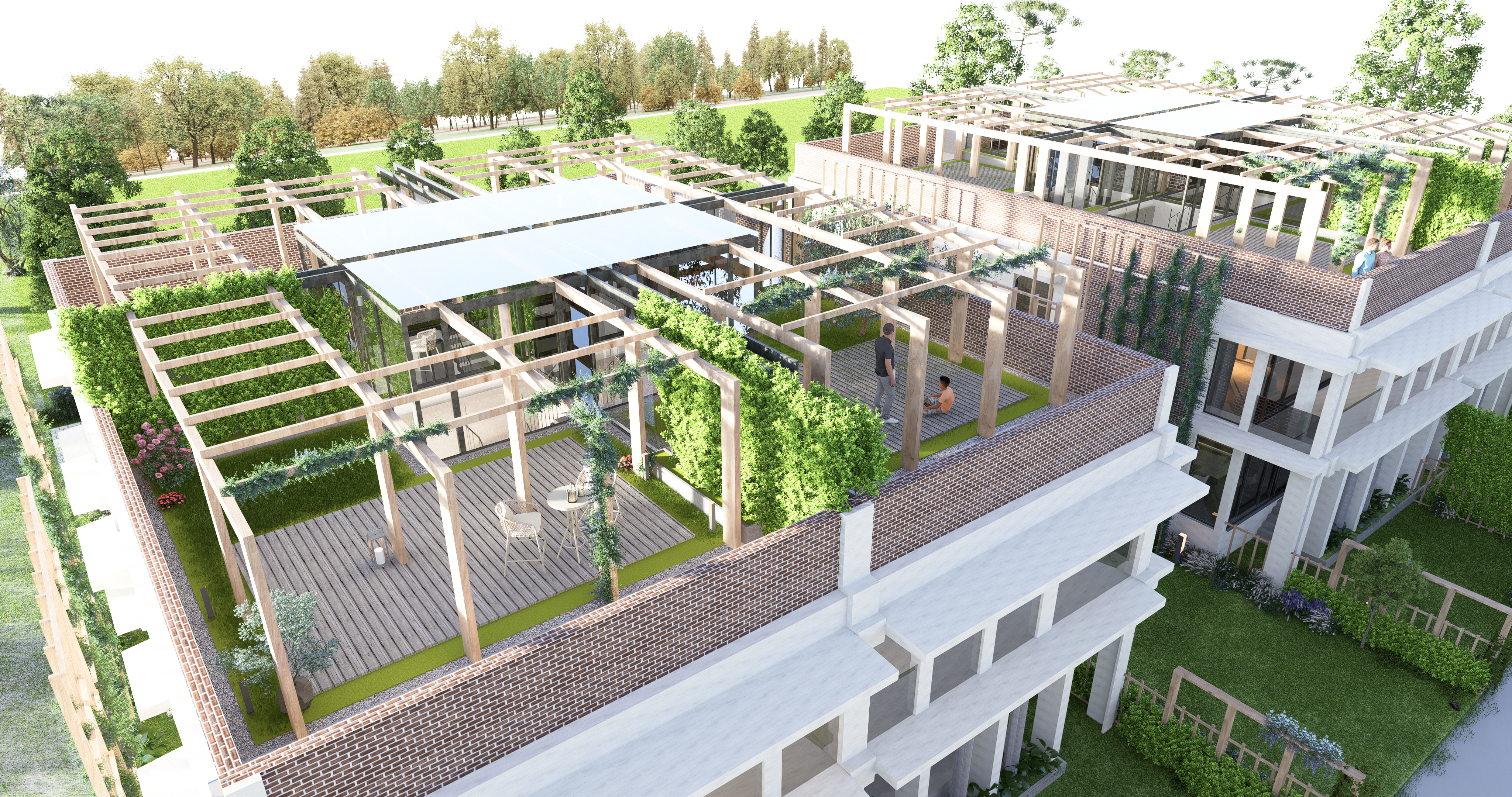 roof top